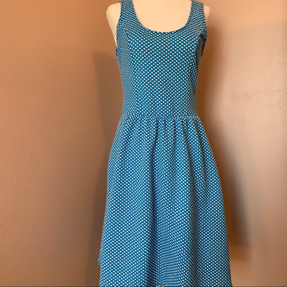 Anthropologie Maeve Caldera Blue Polka Dot Dress